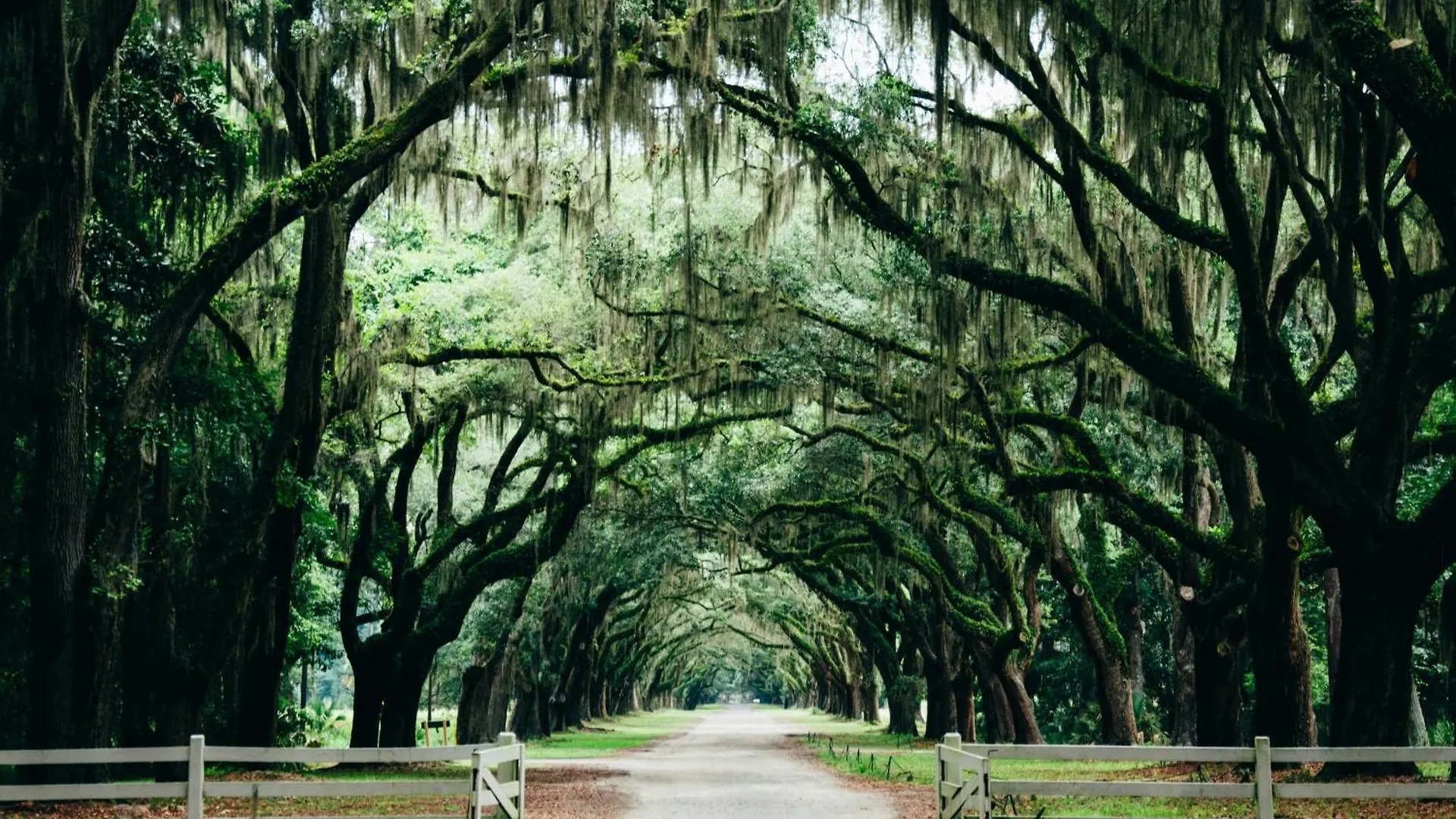 ****  Kimpton Brice Hotel By Ihg Savannah Stany Zjednoczone Ameryki